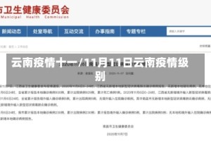 云南疫情十一/11月11日云南疫情级别