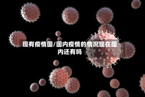 现有疫情国/国内疫情的情况现在国内还有吗