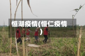 恒湖疫情(恒仁疫情)