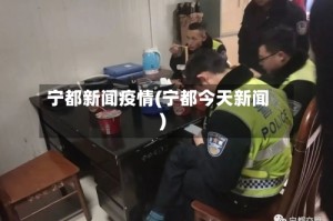 宁都新闻疫情(宁都今天新闻)