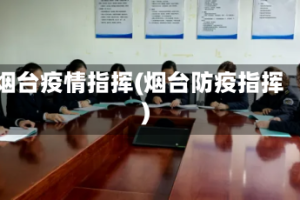 烟台疫情指挥(烟台防疫指挥)