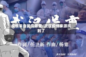 疫情来自武汉哪里/武汉疫情来源找到了