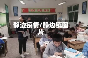 静边疫情/静边镇图片