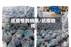 抗疫情的物质/抗疫物件