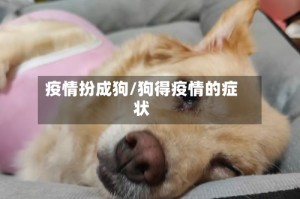 疫情扮成狗/狗得疫情的症状