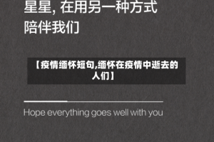 【疫情缅怀短句,缅怀在疫情中逝去的人们】