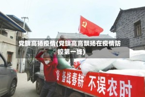 党旗高扬疫情(党旗高高飘扬在疫情防控第一线)