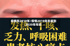 疫情在2019年/疫情2019年年底到2020年年初