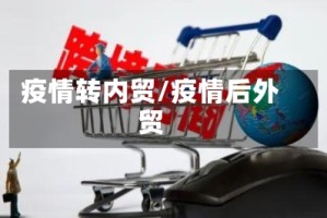 疫情转内贸/疫情后外贸