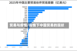 贸易与疫情/疫情下中国贸易的现状