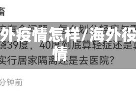 海外疫情怎样/海外役情