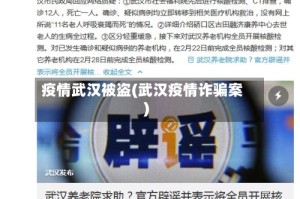 疫情武汉被盗(武汉疫情诈骗案)