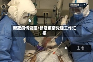 新冠疫情党建/新冠疫情党建工作汇报