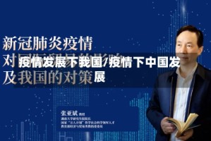 疫情发展下我国/疫情下中国发展