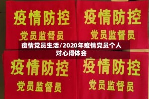 疫情党员生活/2020年疫情党员个人对心得体会