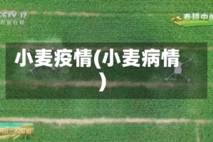 小麦疫情(小麦病情)
