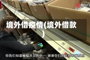 境外借疫情(境外借款)