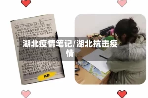 湖北疫情笔记/湖北抗击疫情