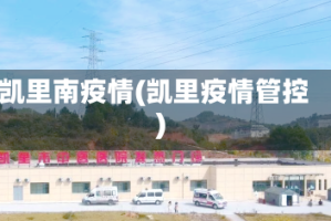 凯里南疫情(凯里疫情管控)