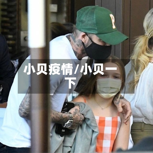 小贝疫情/小贝一下-第3张图片