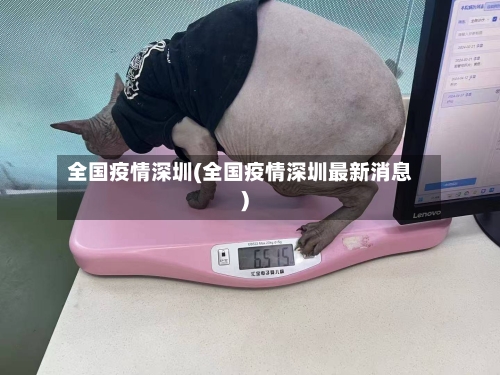 全国疫情深圳(全国疫情深圳最新消息)-第1张图片