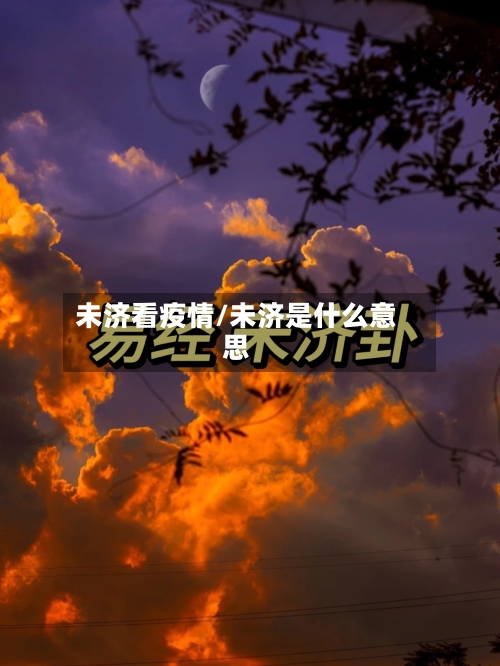 未济看疫情/未济是什么意思-第3张图片