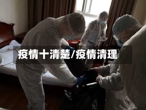 疫情十清楚/疫情清理-第1张图片