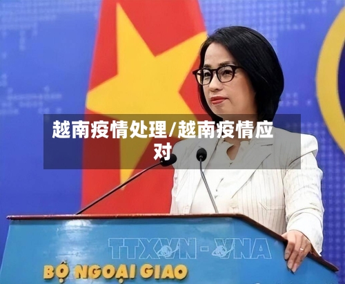 越南疫情处理/越南疫情应对-第1张图片