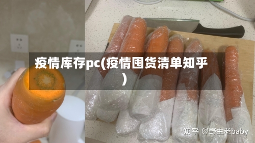 疫情库存pc(疫情囤货清单知乎)-第1张图片