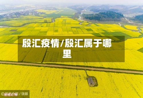 殷汇疫情/殷汇属于哪里-第2张图片