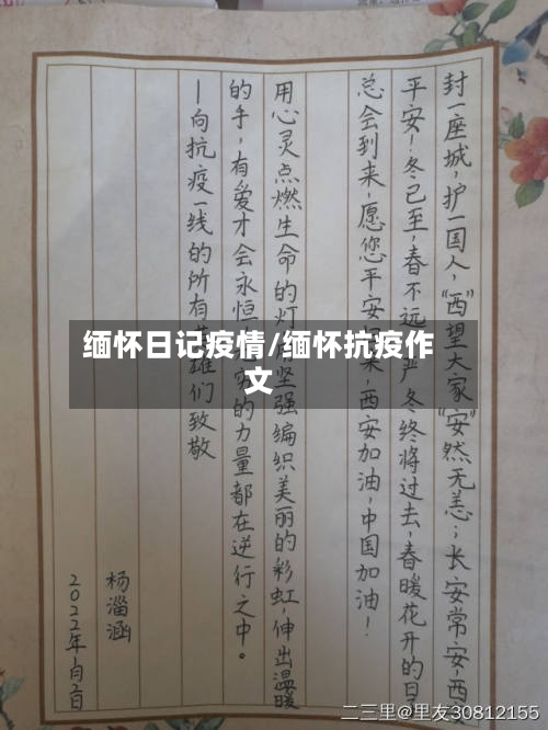 缅怀日记疫情/缅怀抗疫作文-第1张图片