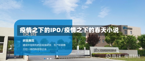 疫情之下的IPO/疫情之下的春天小说-第1张图片