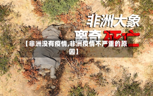 【非洲没有疫情,非洲疫情不严重的原因】-第1张图片