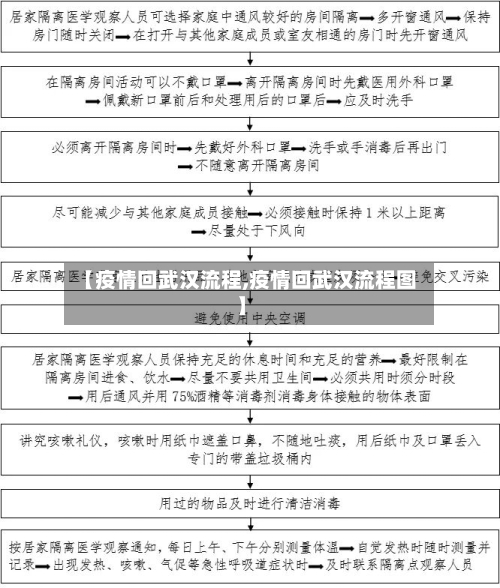【疫情回武汉流程,疫情回武汉流程图】-第2张图片