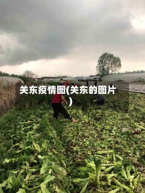 关东疫情图(关东的图片)-第1张图片