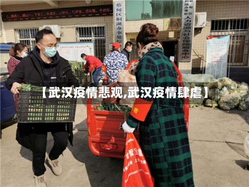 【武汉疫情悲观,武汉疫情肆虐】-第1张图片