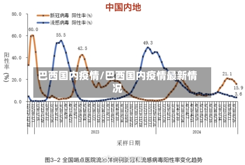 巴西国内疫情/巴西国内疫情最新情况-第1张图片