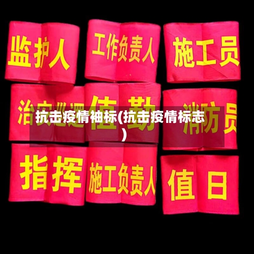 抗击疫情袖标(抗击疫情标志)-第1张图片
