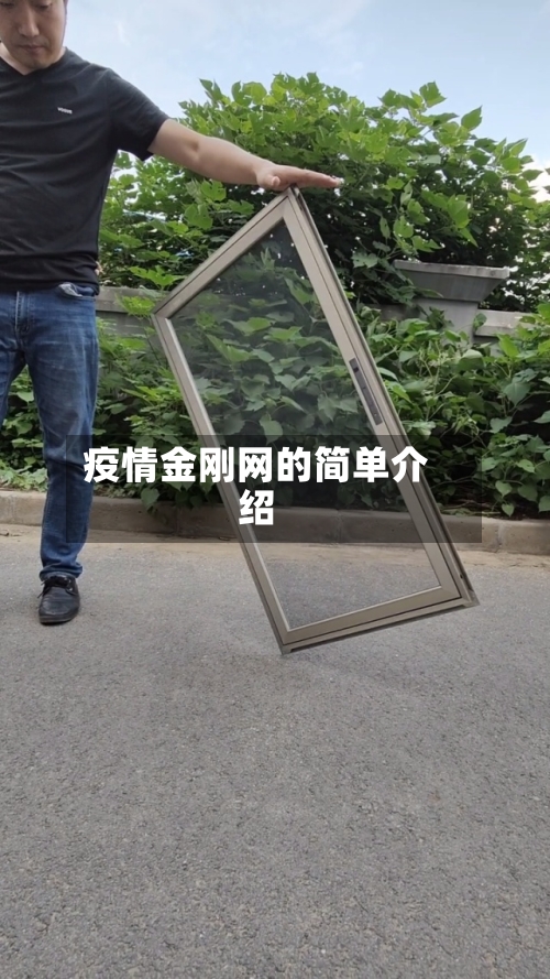 疫情金刚网的简单介绍-第3张图片