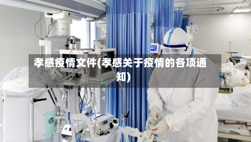 孝感疫情文件(孝感关于疫情的各项通知)-第1张图片