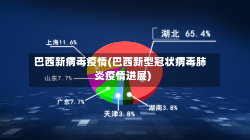 巴西新病毒疫情(巴西新型冠状病毒肺炎疫情进展)-第1张图片