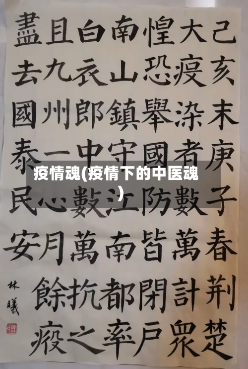 疫情魂(疫情下的中医魂)-第1张图片