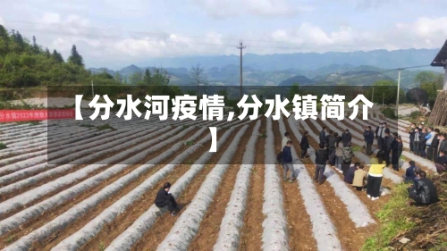 【分水河疫情,分水镇简介】-第1张图片
