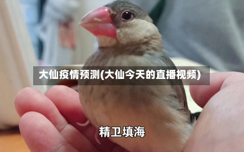 大仙疫情预测(大仙今天的直播视频)-第1张图片