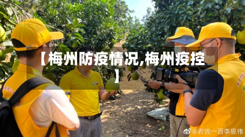 【梅州防疫情况,梅州疫控】-第1张图片