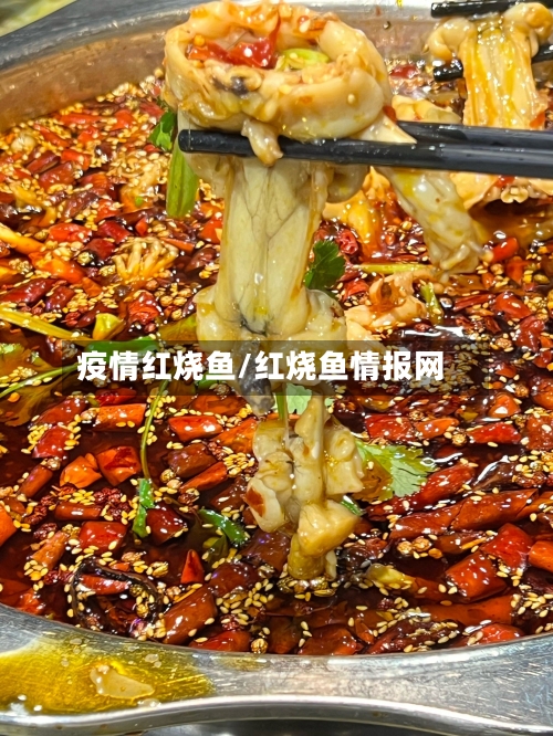 疫情红烧鱼/红烧鱼情报网-第1张图片