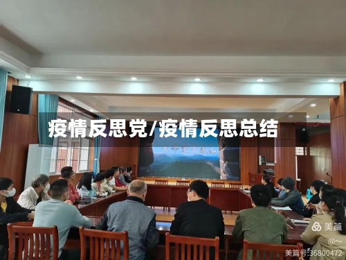 疫情反思党/疫情反思总结-第1张图片