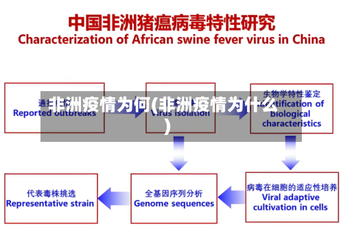 非洲疫情为何(非洲疫情为什么)-第1张图片