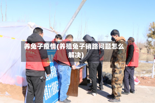 养兔子疫情(养殖兔子销路问题怎么解决)-第1张图片