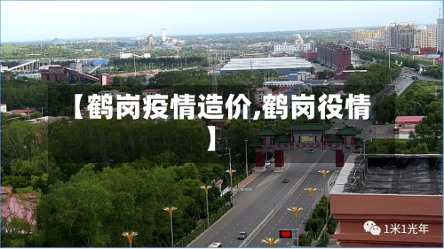 【鹤岗疫情造价,鹤岗役情】-第1张图片